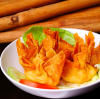 CHICKEN WONTONS